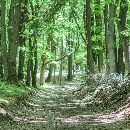 Amazing In With Wifi 度假居 *