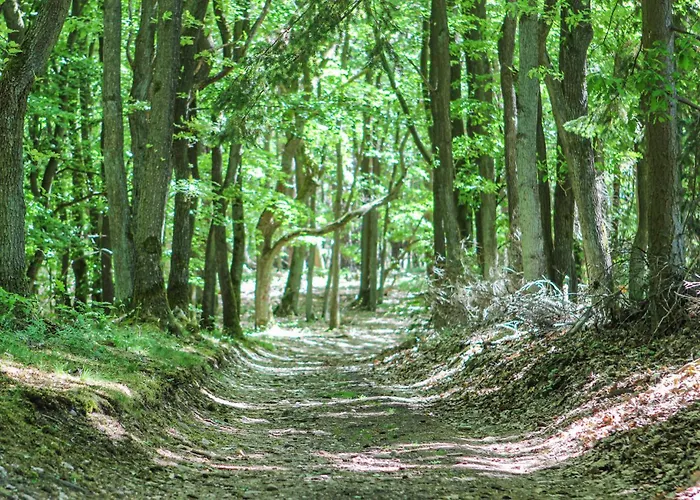 Amazing In With Wifi Prázdninový dům *