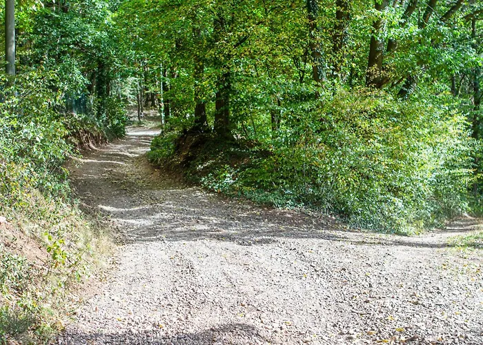 Feriehus Amazing In With Wifi